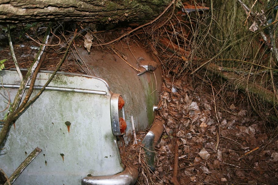 auto, old, rust, car cemetery, oldtimer, trunk, plant, day HD wallpaper