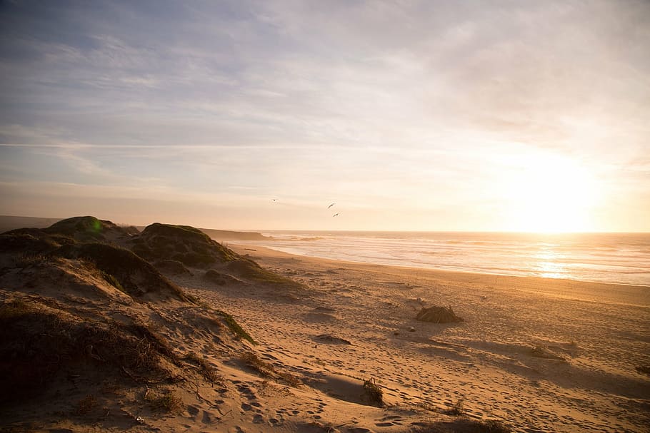 beach shore during golden time, ocean, sand, water, nature HD wallpaper