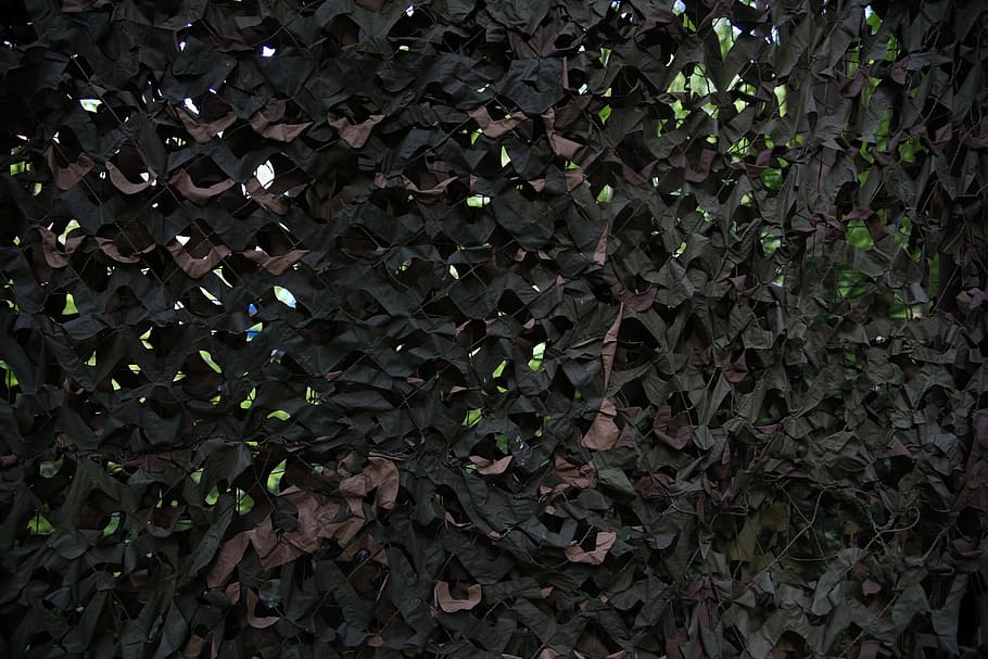camo, network, protection, khaki, leaf, plant part, growth HD wallpaper