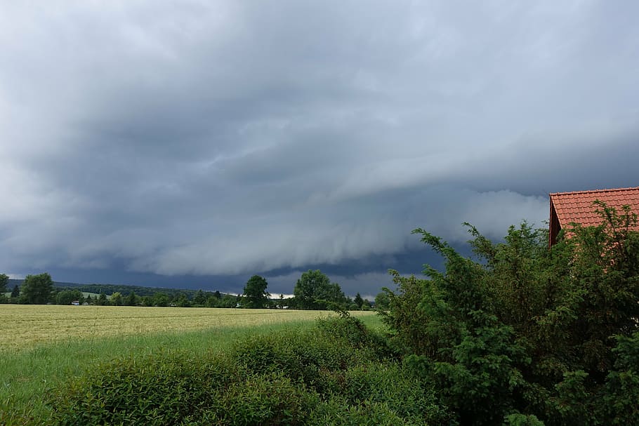 storm, sky, clouds, plant, cloud - sky, tree, beauty in nature HD wallpaper