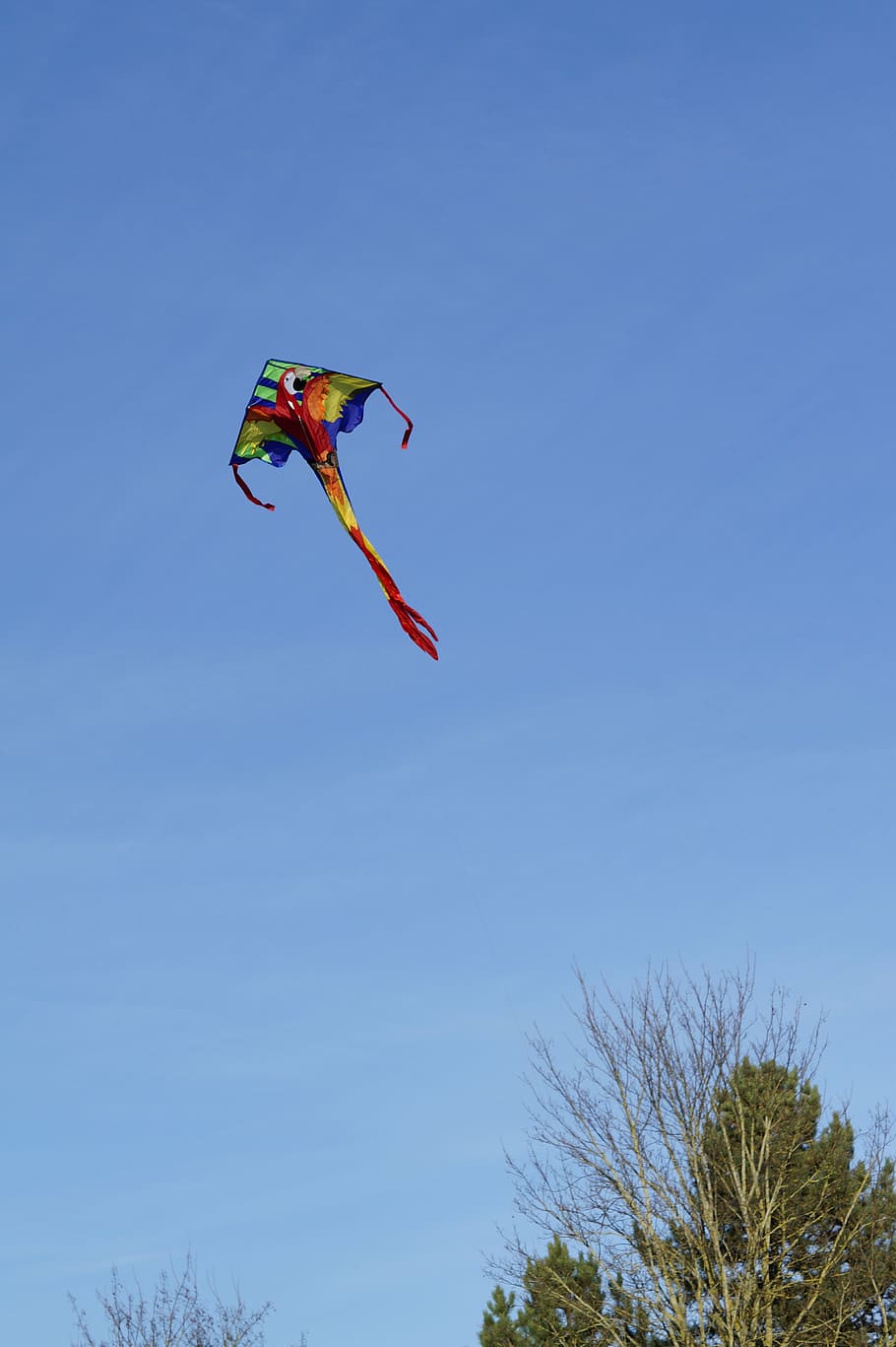 dragons, kite flying, sky, blue, autumn, wind, dragon rising HD wallpaper