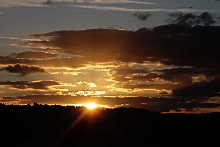 silhouette of trees during orange sunset, horizon, twilight HD wallpaper