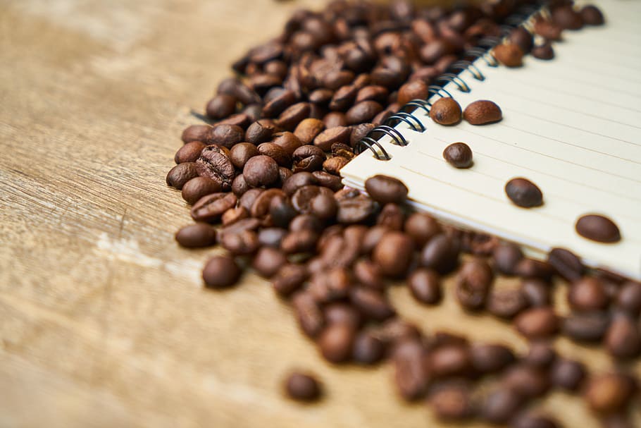 coffee, notebook, core, espresso, coffee cup, work, food photo HD wallpaper