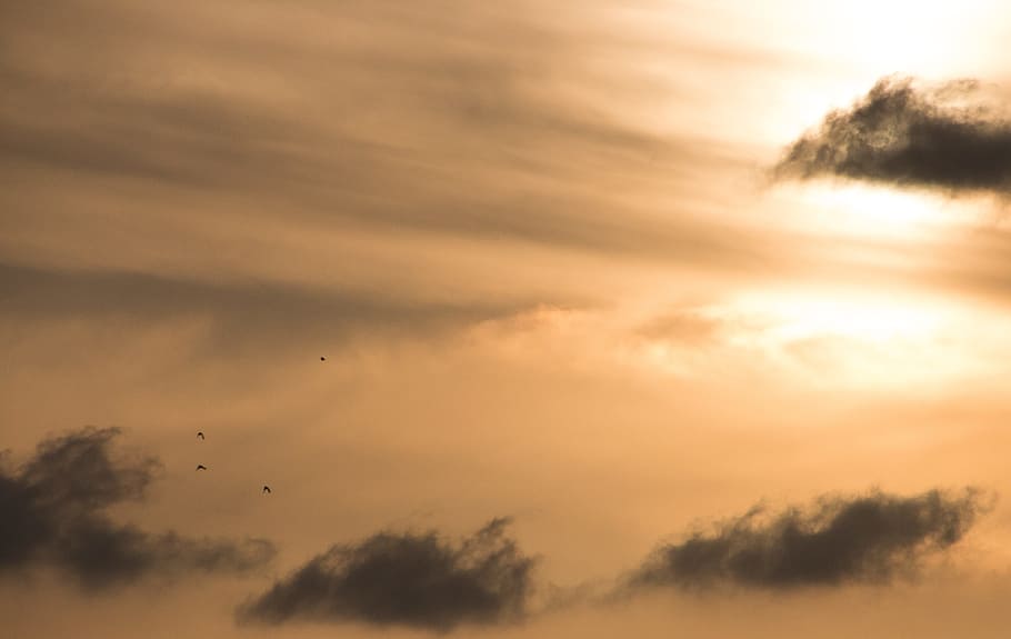 sunset, sky, nature, landscape, summer, cloud, sunlight, evening HD wallpaper