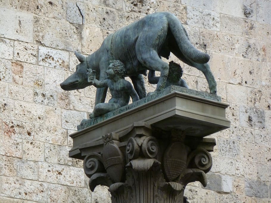 Statue, Wolf, Romulus, Remus, Landmark, italy, sculpture, architecture HD wallpaper