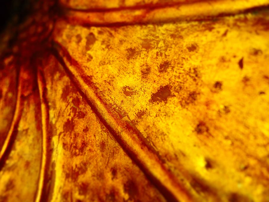 metal, rust, orange, abstract, design, backdrop, texture, decoration HD wallpaper