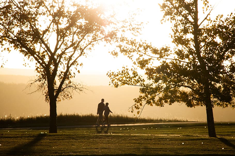 sunset, dawn, lakeside, walking, outline, fall, canada, tree HD wallpaper