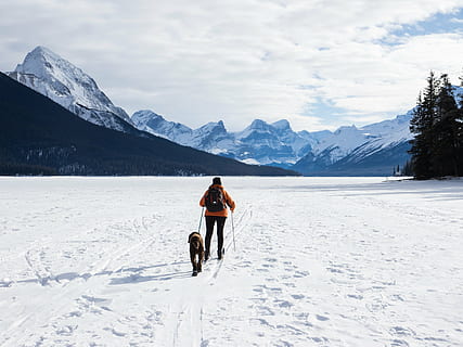 person holding leash with dog walking on snow field during daytime HD wallpaper