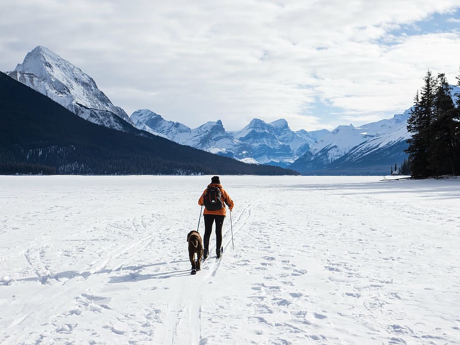 person holding leash with dog walking on snow field during daytime HD wallpaper