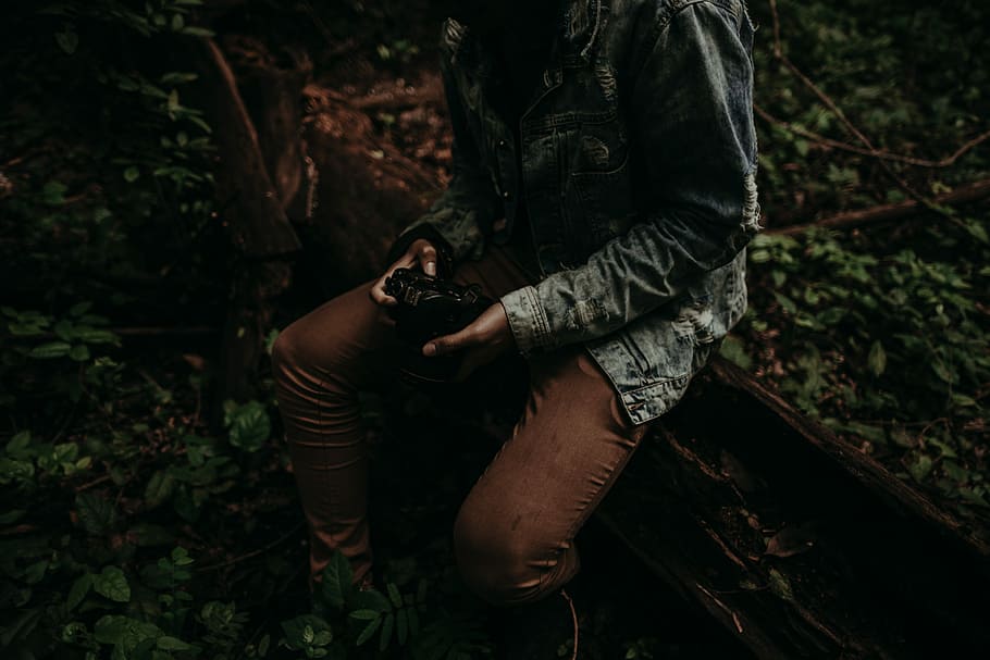 person holding DSLR camera sitting on brown tree log, person wearing jacket and brown pants sitting on brown board HD wallpaper