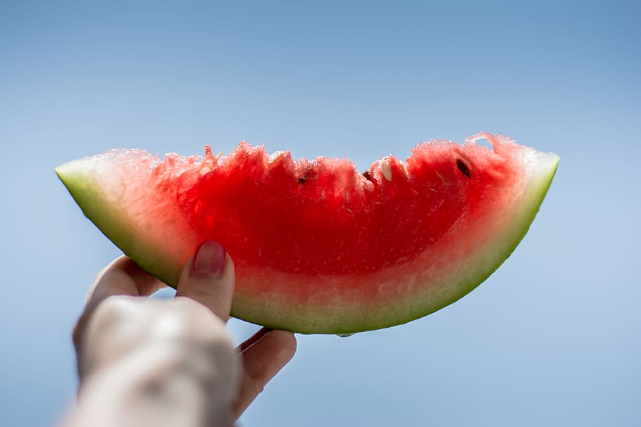person holding sliced watermelon, selective focus photography of person holding sliced watermelon taking photo at daytime HD wallpaper