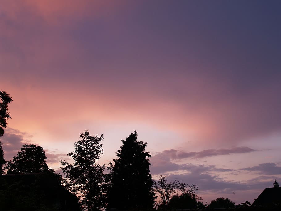 sunset, air, nature, tree, sky, plant, beauty in nature, cloud - sky HD wallpaper