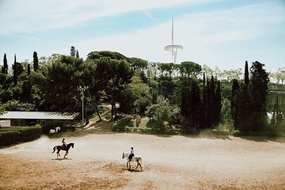 two person on horses on field, two men riding on white and black horses HD wallpaper
