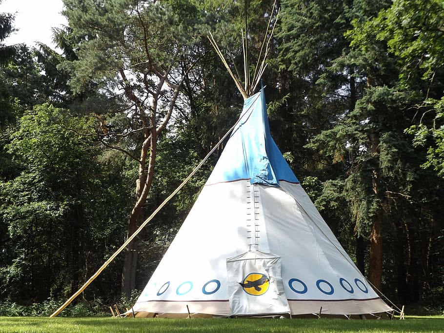 tipi, forest, nature, wild, summer, meadow, tent, grass, wilderness HD wallpaper