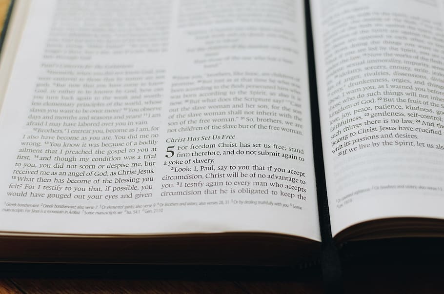 book, bible, scripture, publication, text, close-up, indoors HD wallpaper