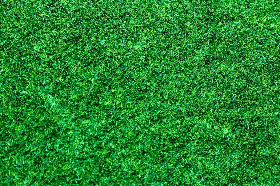 grass, leaves, green, foliage, close-up, green color, backgrounds HD wallpaper