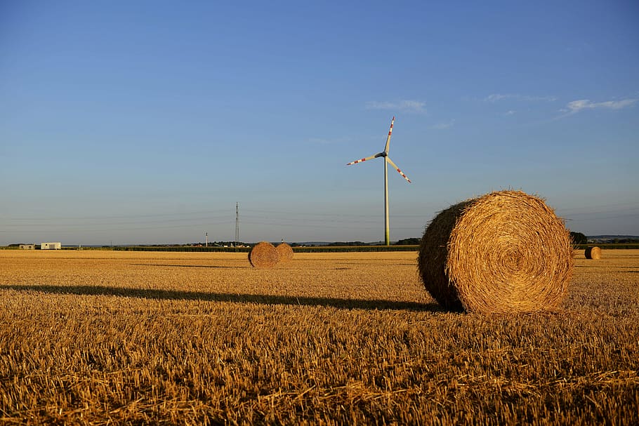 summer, blue, yellow, straw, field, straw bales, harvested HD wallpaper