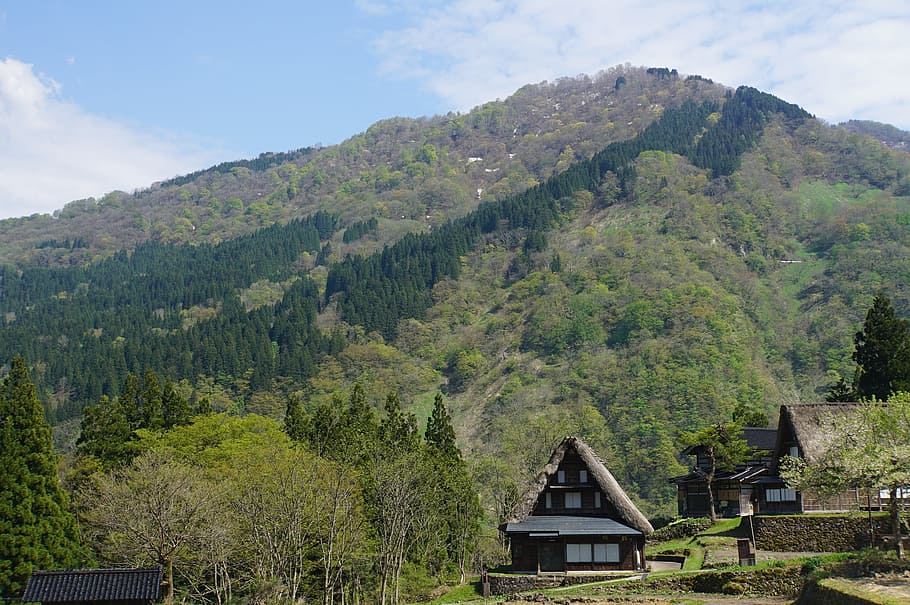 views, shirakawa go, spring, tree, built structure, architecture HD wallpaper