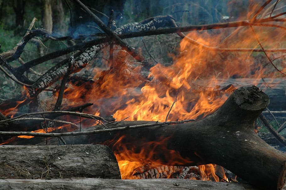 Farm, Fire, Camp, Rural, Wood, Flame, burn, outdoor, heat, hot HD wallpaper