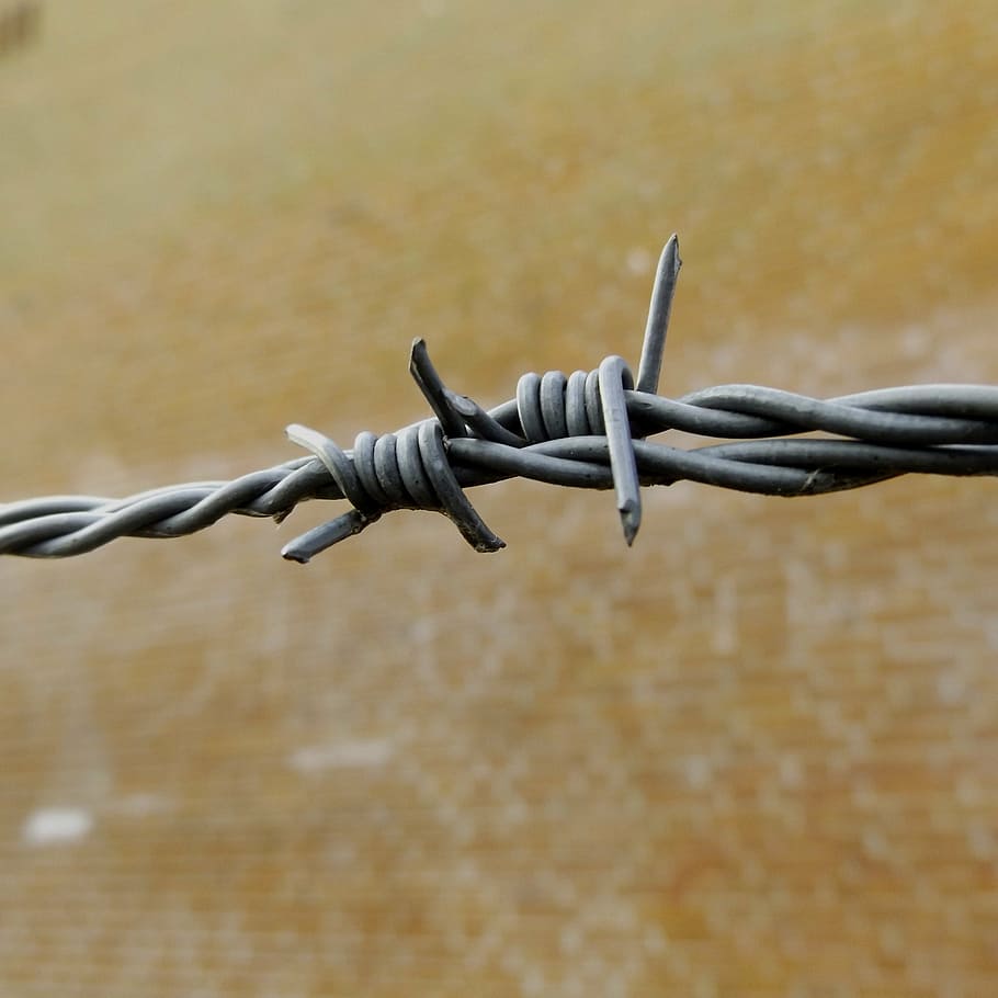 barbed wire, barrier, metal, security, imprisoned, demarcation HD wallpaper