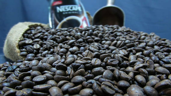 coffee, grain, cafe, caffeine, cup, brown, aroma, toasted, expresso HD wallpaper