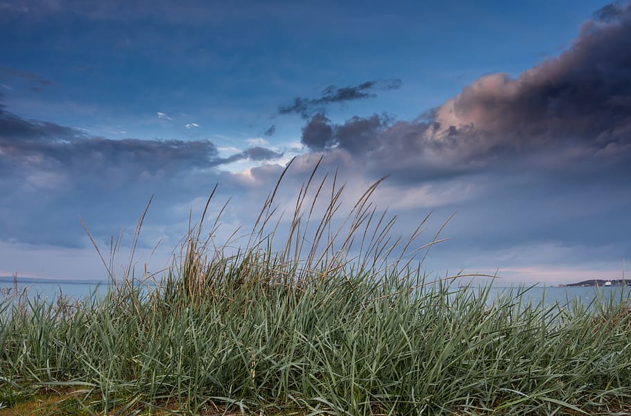 sea, grass, beach, landscape, water, nature, travel, blue, green HD wallpaper