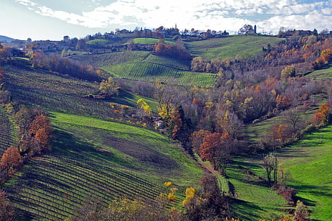 langhirano, parma, emilia romagna, italy, vineyards, hills langhirano HD wallpaper