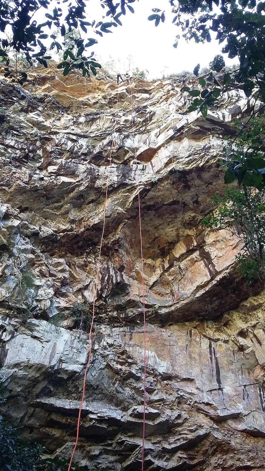 abseiling, hole, slit, tree, plant, no people, nature, day HD wallpaper