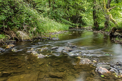 stream of water surround with green trees and grass during daytime HD wallpaper