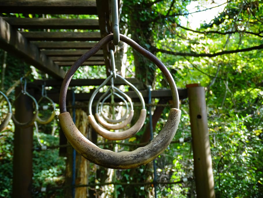 old, gymnastic rings, scaffold, climb, park, forest, summer, HD wallpaper