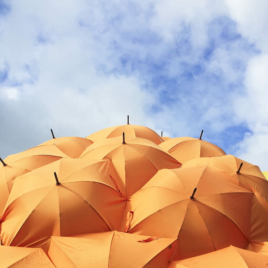 orange umbrella lot, yellow umbrellas opened under cloudy sky HD wallpaper