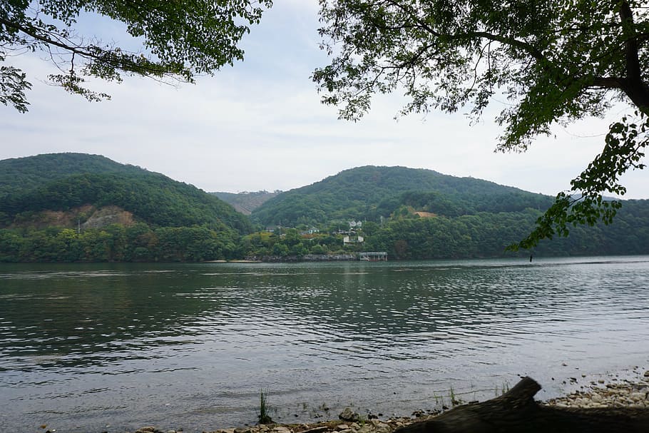 chuncheon, gangwon, river, lake, nature, forest, yangpyeong, HD wallpaper