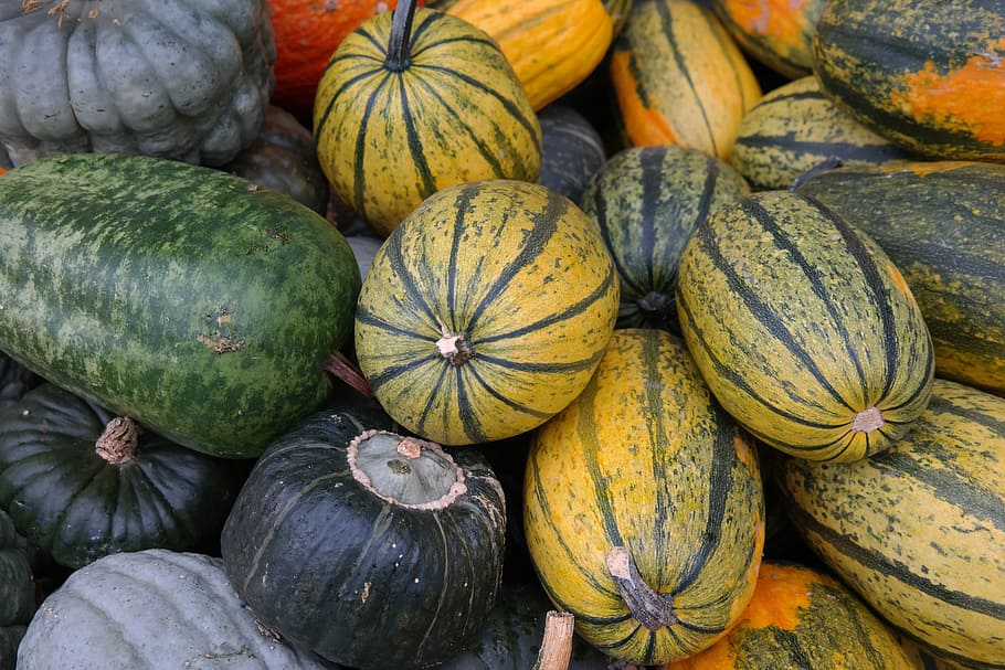 Pumpkins, Spaghetti Squash, Vegetables, vitamins, food, walzenförmig HD wallpaper