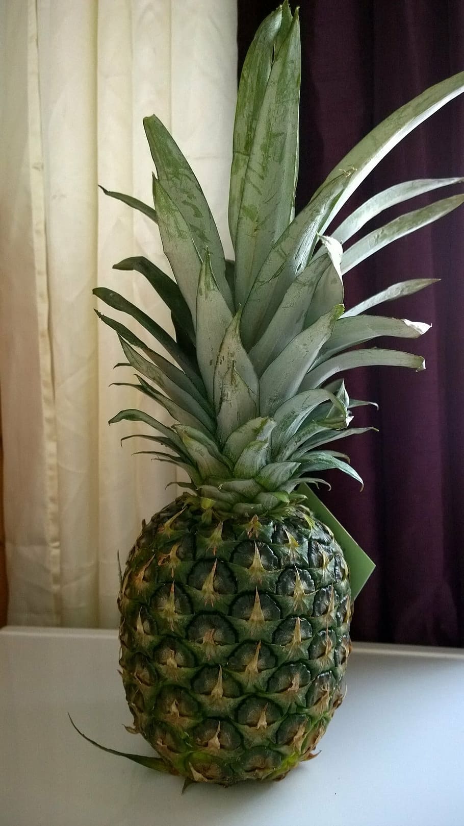 pineapple, fruit, green, plant, purple, white, sweet, fresh HD wallpaper