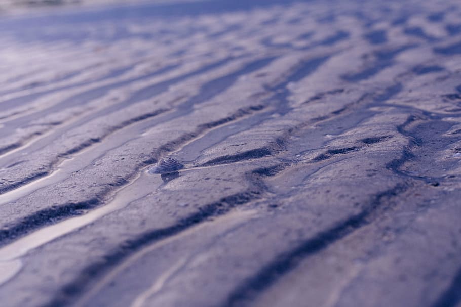 close, close up, close-up, close-up view, closeup, ocean, salt water HD wallpaper