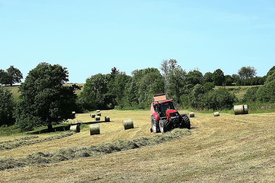field, landscape, nature, fields, grass, sky, curves, tractor HD wallpaper