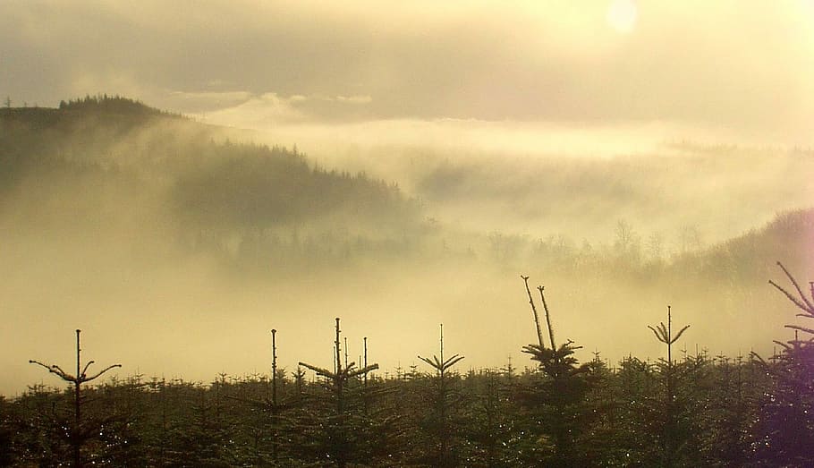 Fog, Mountains, Peaks, Mist, Landscape, view, scenic, cloud HD wallpaper