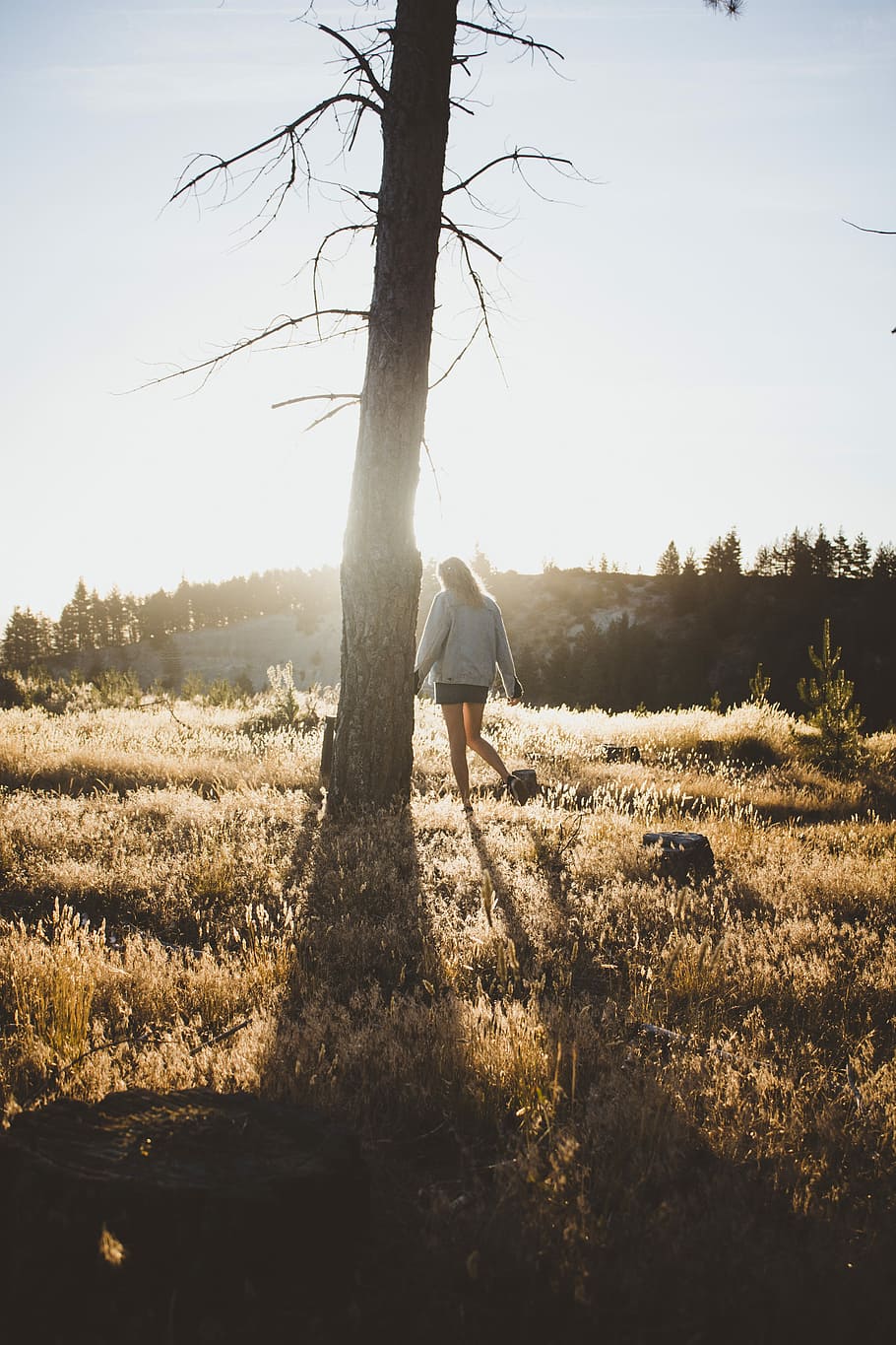 woman walking around tree during daytime, woman in grey sweater with shorts standing beside tree HD wallpaper