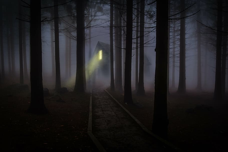 house with light on in the middle of dark forest, foggy, mist HD wallpaper