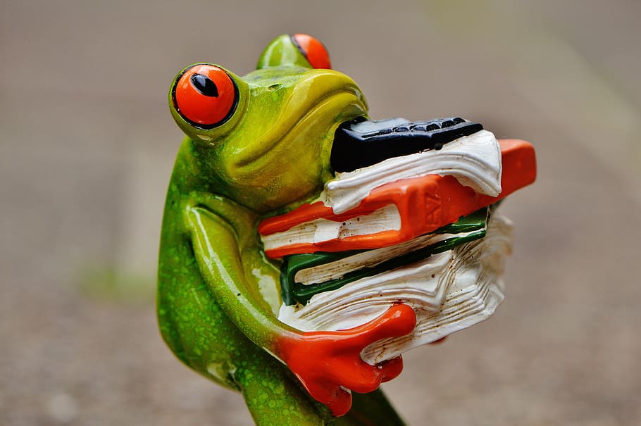 green tree frog carrying books figurine, figure, files, stack