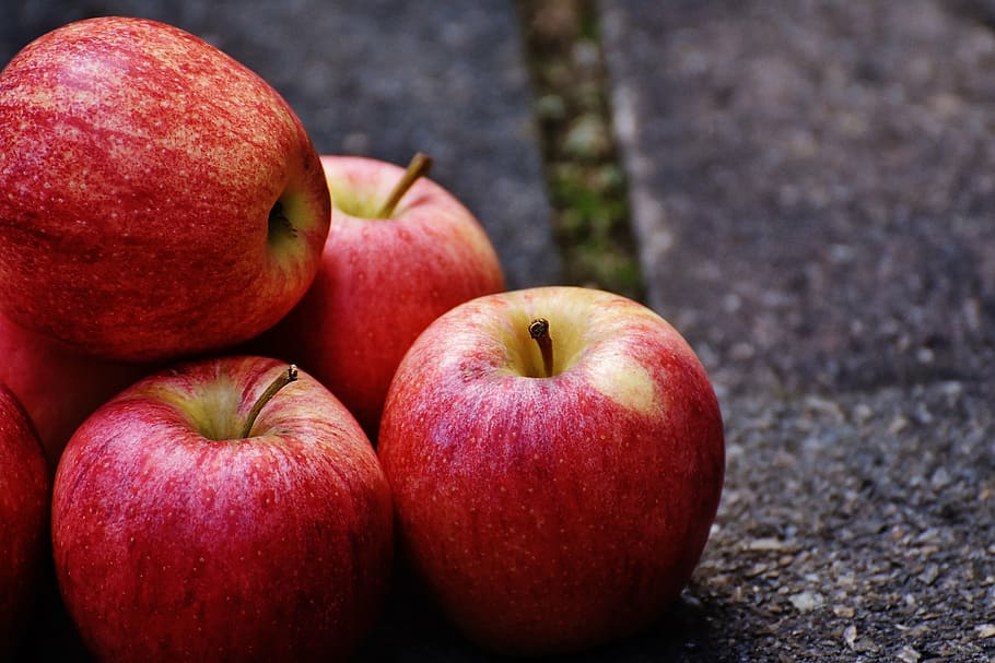apple, red, delicious, fruit, ripe, red apple, frisch, vitamins HD wallpaper