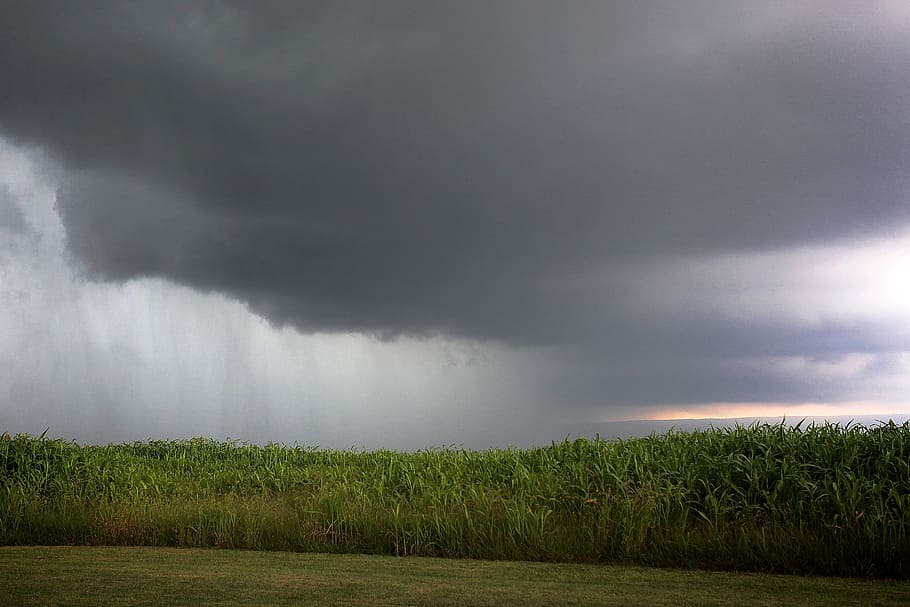 rain, clouds, storm, nature, sky, weather, landscape, cloud - sky HD wallpaper