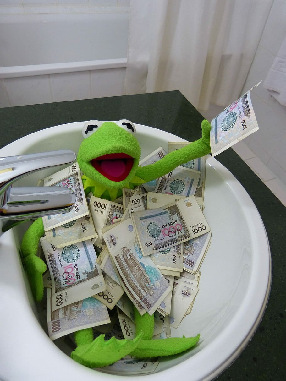 Kermit the frog covered with money, Swim, Bathroom, Sink, bathroom sink