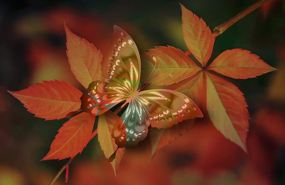 brown and multicolored swallowtail butterfly perched on red leaf closeup photography