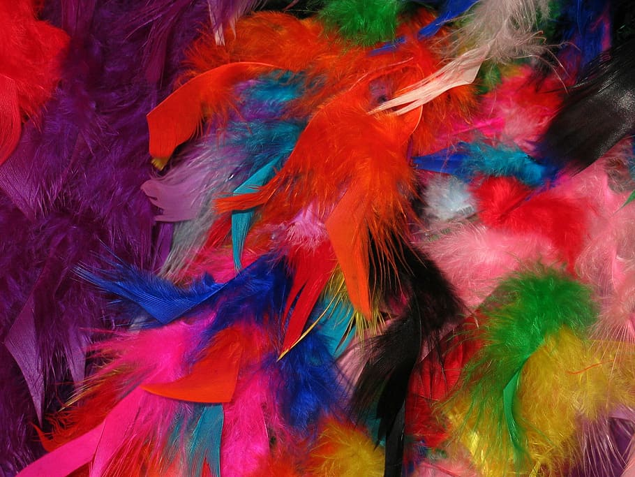 feather, colorful feathers, carnival, stoles, background, bright, HD wallpaper