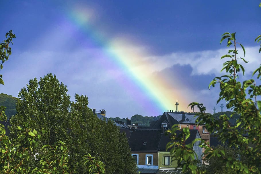 nature, tree, summer, sky, landscape, outdoors, rainbow, multi colored HD wallpaper
