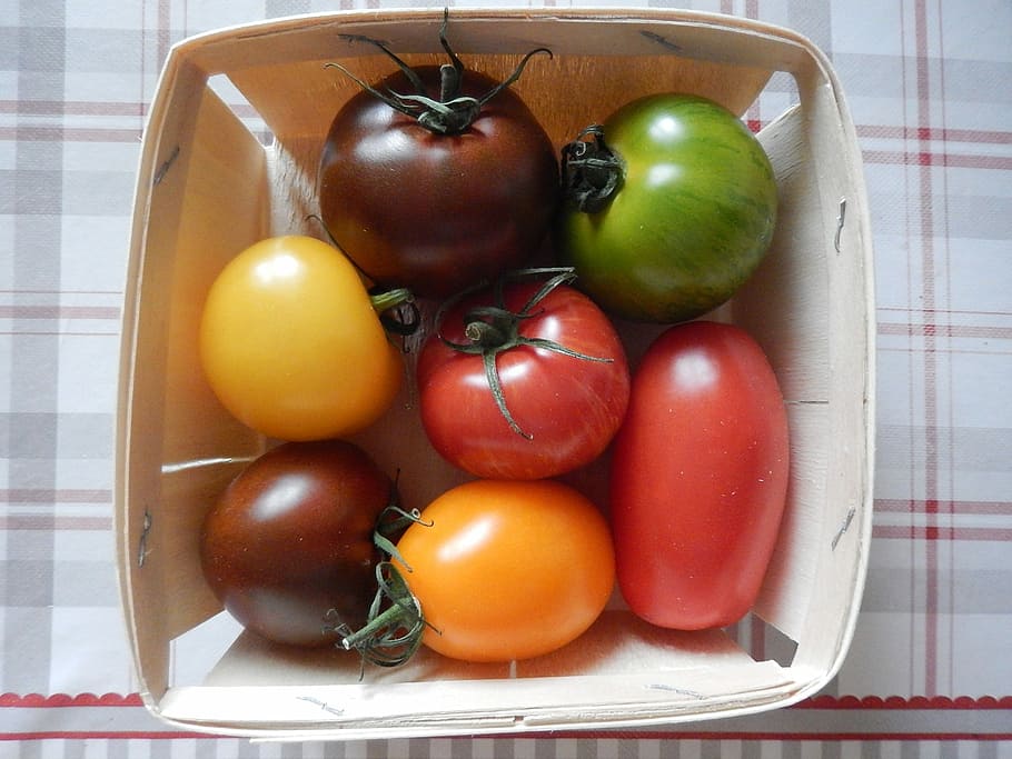 Tomatoes, Garden, Power, Vegetable, food and drink, fruit, indoors HD wallpaper