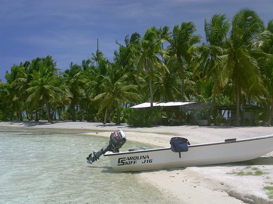 beach, sand, boat, palm tree, tropical climate, mode of transportation HD wallpaper