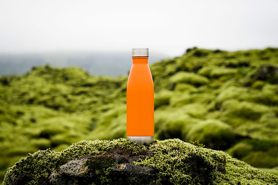 orange tumbler on green moss, clear glass sports bottle on rock HD wallpaper