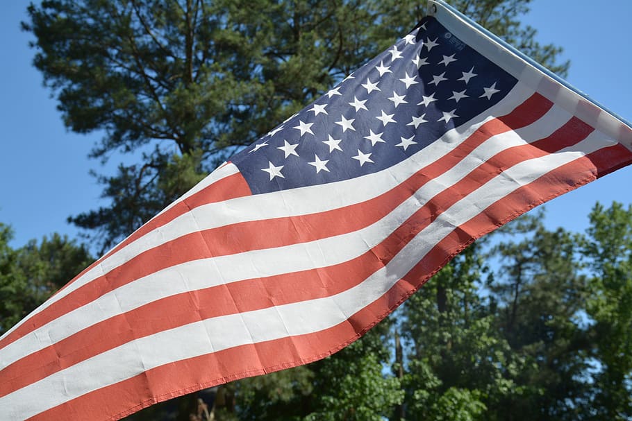 flag, american flag, tree, patriotism, striped, day, shape HD wallpaper